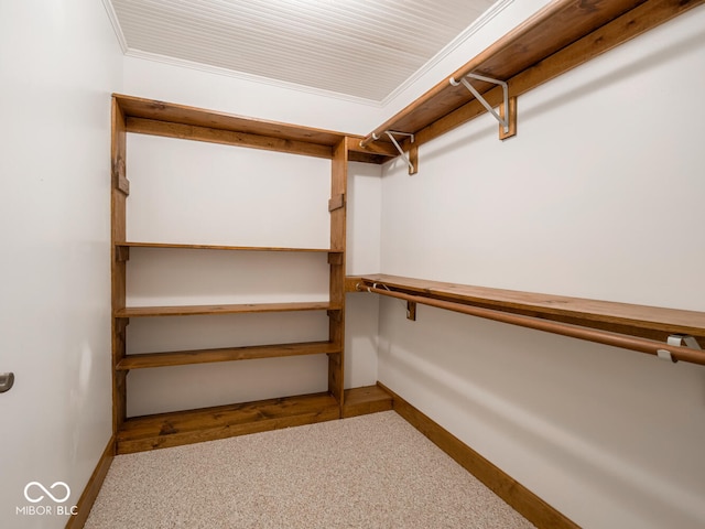 walk in closet with carpet