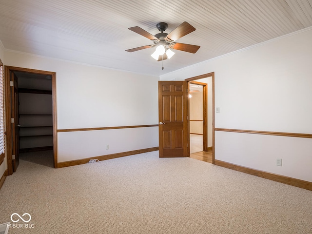 unfurnished bedroom featuring a walk in closet, baseboards, crown molding, carpet, and ceiling fan