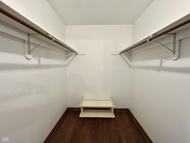 spacious closet featuring wood finished floors