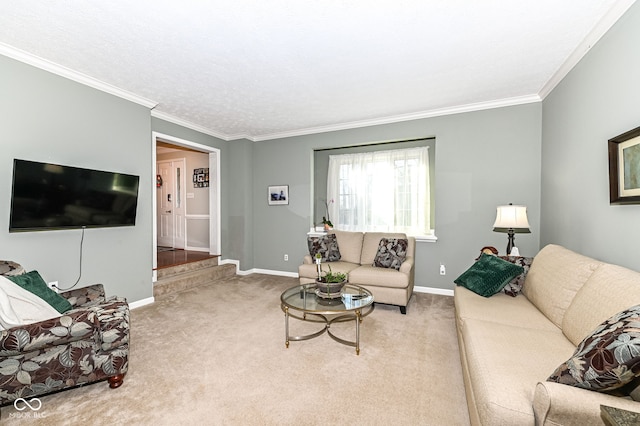 living room featuring crown molding, carpet flooring, and baseboards