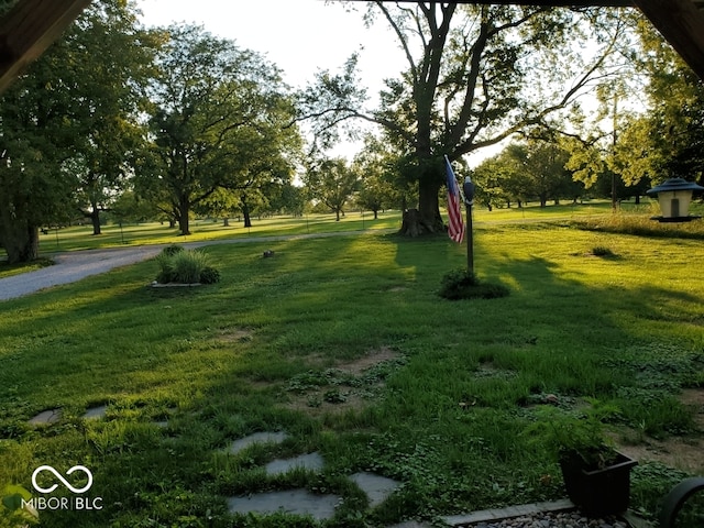 surrounding community featuring a lawn