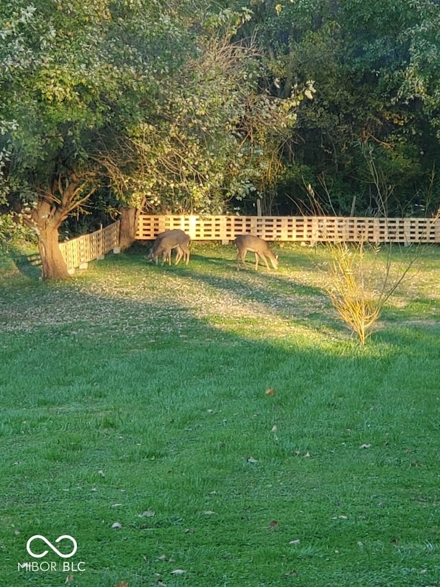 view of yard with fence