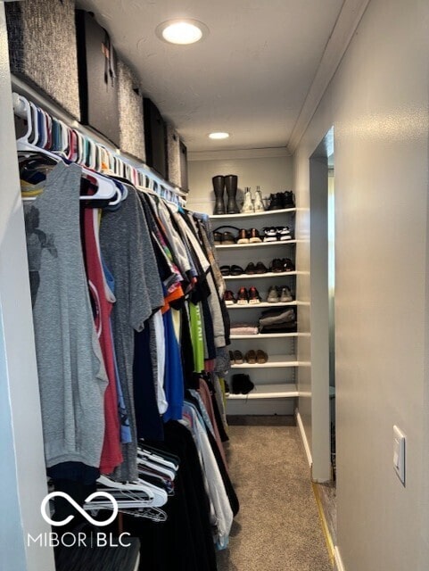 spacious closet featuring carpet floors