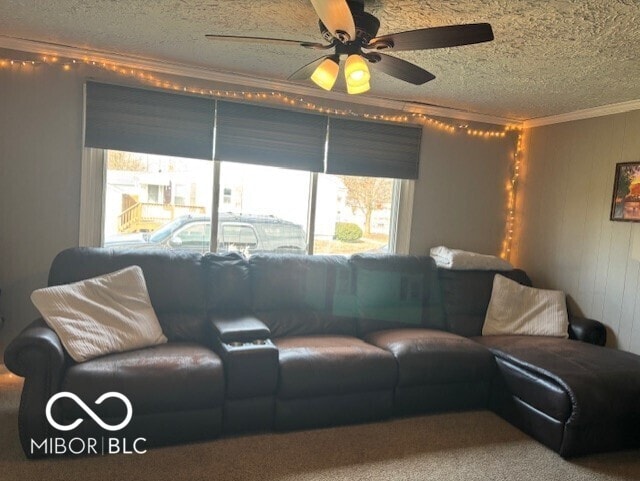 living area with a textured ceiling, ceiling fan, and ornamental molding