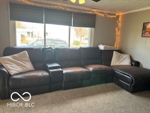 living room featuring a ceiling fan, a textured ceiling, crown molding, and carpet