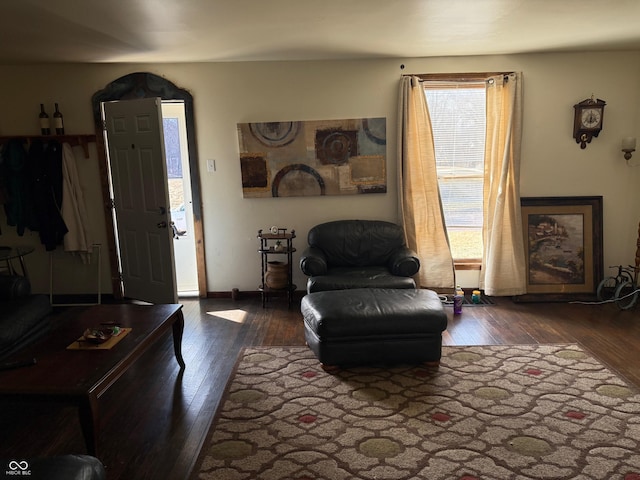 living room featuring hardwood / wood-style flooring