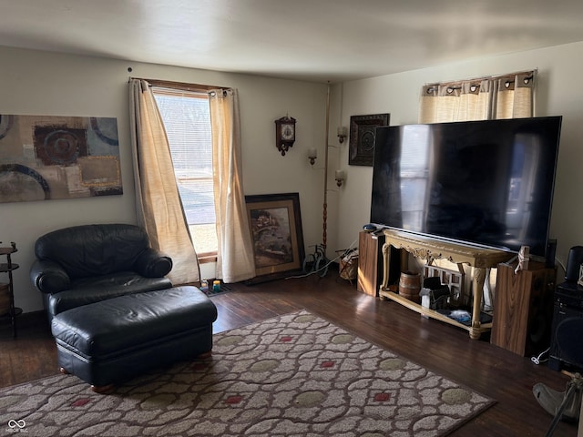 living area featuring hardwood / wood-style floors