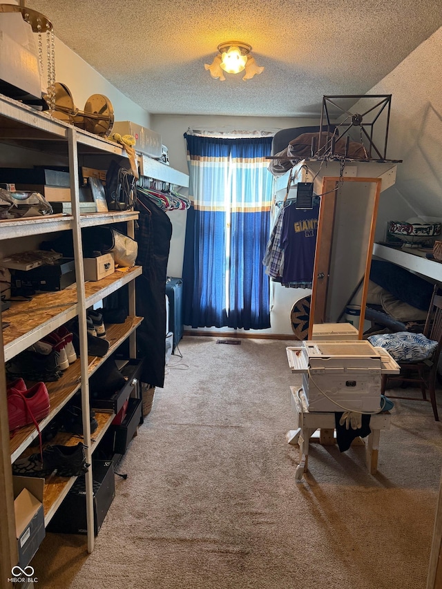 spacious closet with carpet floors