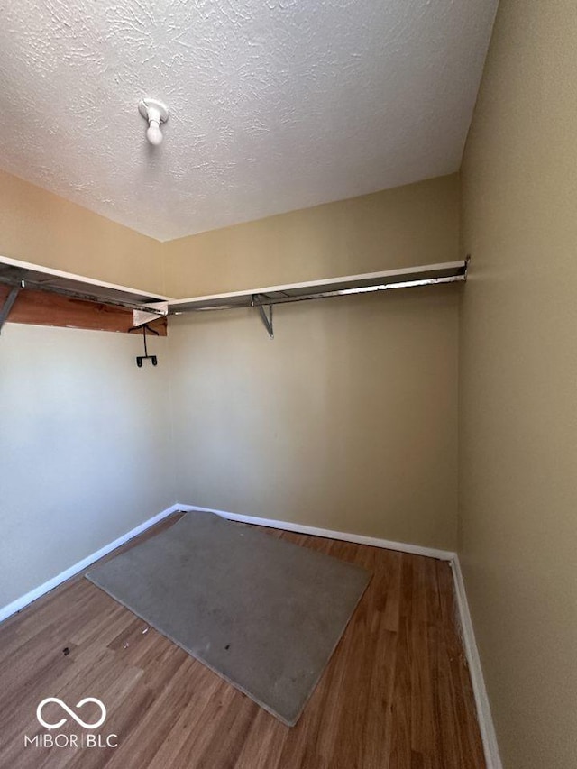 walk in closet with wood finished floors