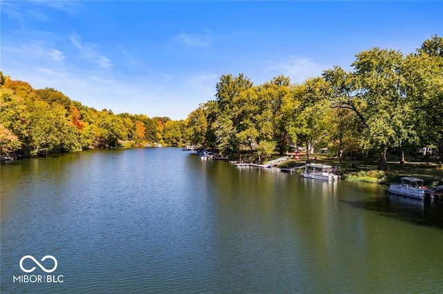 property view of water featuring a view of trees