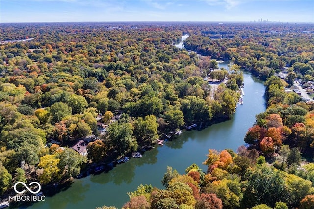 bird's eye view featuring a forest view and a water view