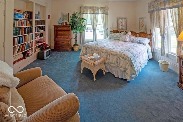 bedroom with multiple windows and carpet floors