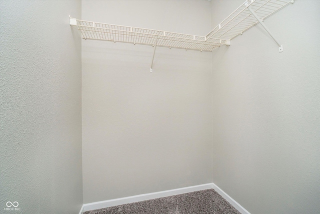 spacious closet with carpet