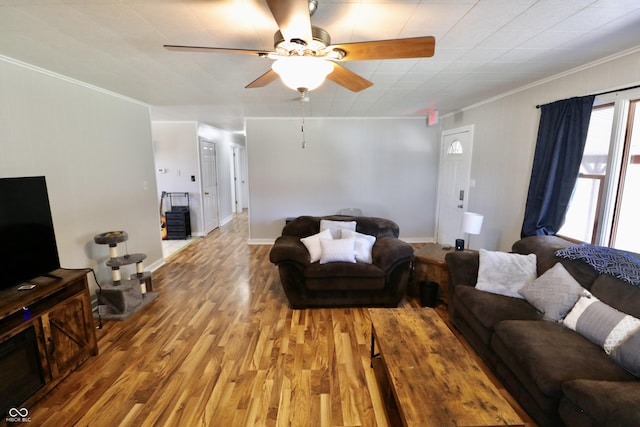 living area featuring ornamental molding, a ceiling fan, and light wood finished floors