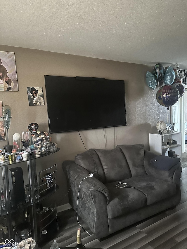 living area featuring a textured ceiling and wood finished floors