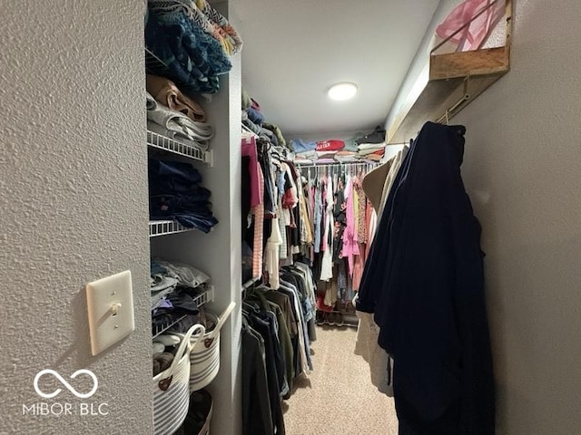 spacious closet with carpet flooring