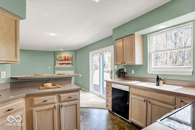 kitchen with dishwasher, a sink, and light brown cabinetry