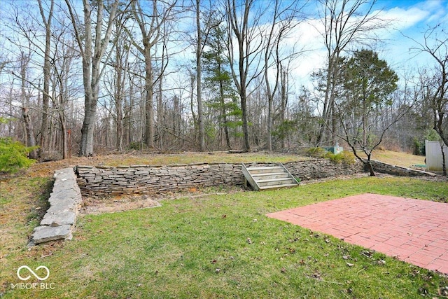 view of yard with a patio area