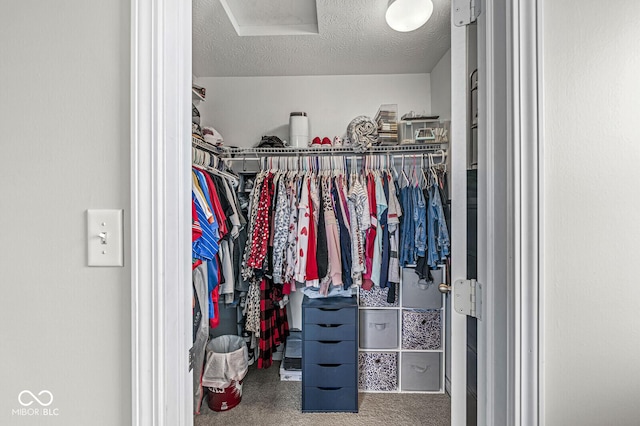 walk in closet with attic access and carpet