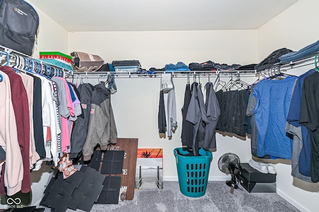 walk in closet with carpet floors