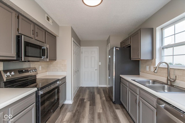 kitchen featuring light countertops, gray cabinets, appliances with stainless steel finishes, and a sink