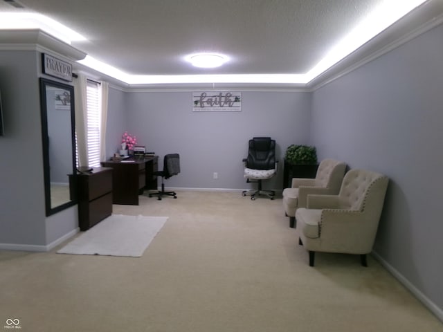 home office featuring a raised ceiling, baseboards, and carpet floors