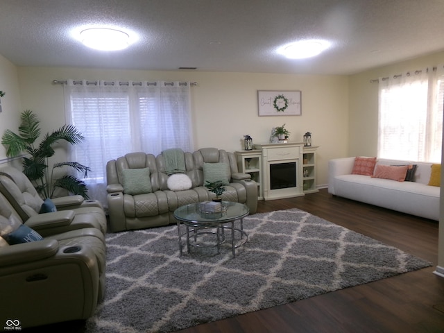 living room featuring a textured ceiling and wood finished floors