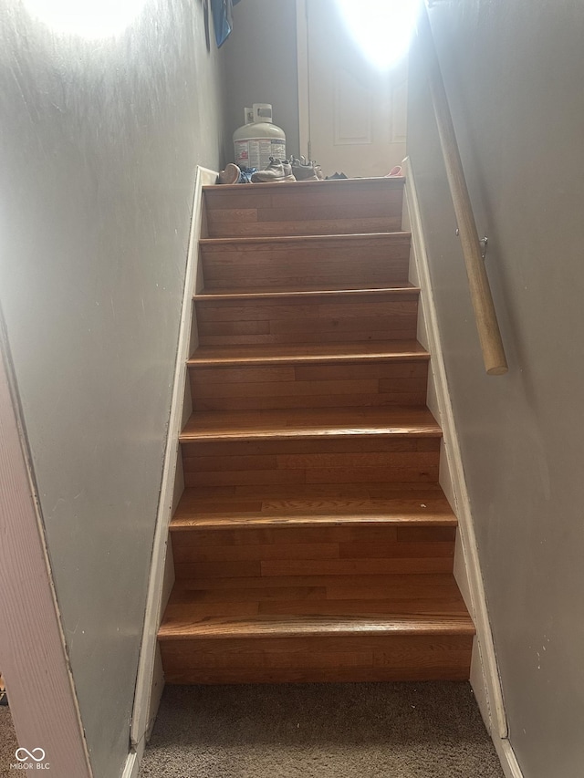 4930 Candy Spots Dr, Indianapolis, IN 46237 - staircase featuring carpet