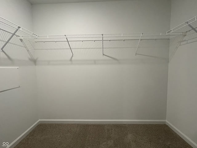1265 Fleming Dr, Greenfield, IN 46140 - spacious closet featuring carpet flooring
