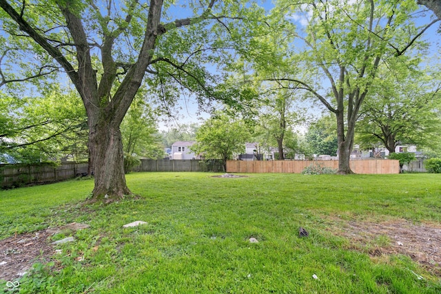 1641 Whistler Ter, Indianapolis, IN 46229 - view of yard