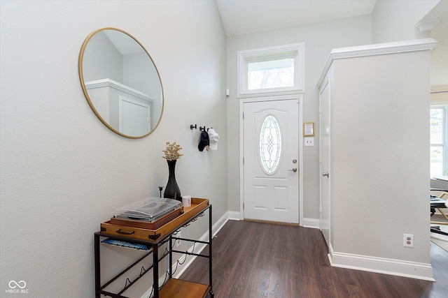 9011 Harrison Run Dr, Indianapolis, IN 46256 - foyer entrance featuring healthy amount of natural light, dark wood-style flooring, and baseboards