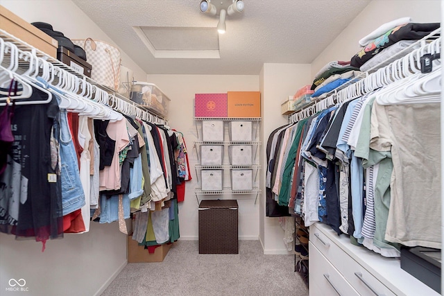 9011 Harrison Run Dr, Indianapolis, IN 46256 - walk in closet with attic access and carpet