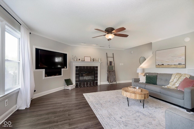 9011 Harrison Run Dr, Indianapolis, IN 46256 - living area with ceiling fan, dark wood-type flooring, ornamental molding, baseboards, and a fireplace