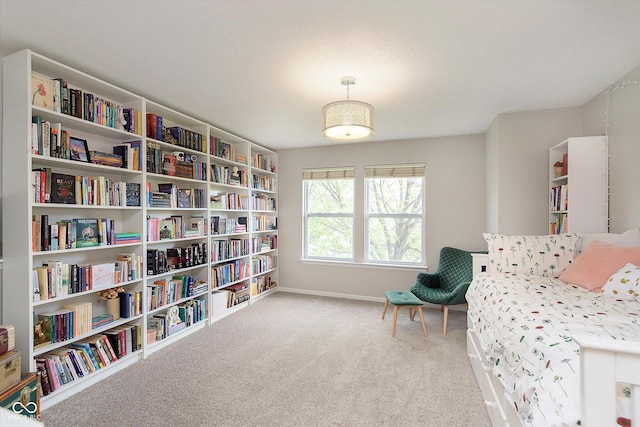 9011 Harrison Run Dr, Indianapolis, IN 46256 - living area with carpet floors, baseboards, and wall of books