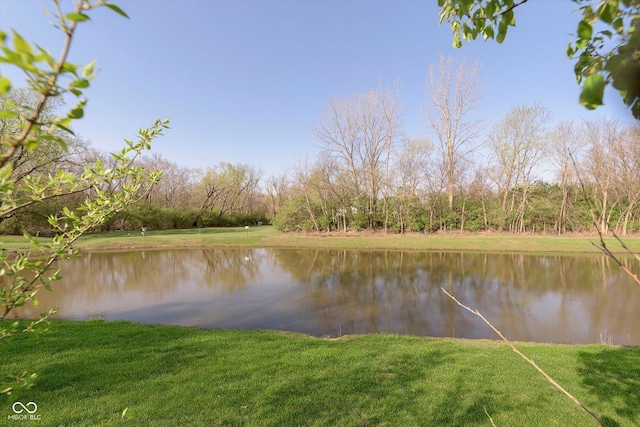 9011 Harrison Run Dr, Indianapolis, IN 46256 - water view