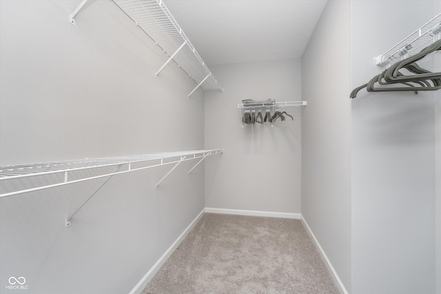 walk in closet featuring carpet