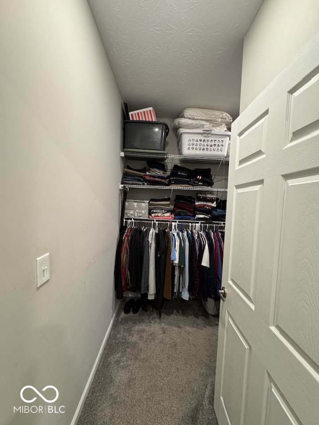 walk in closet with carpet