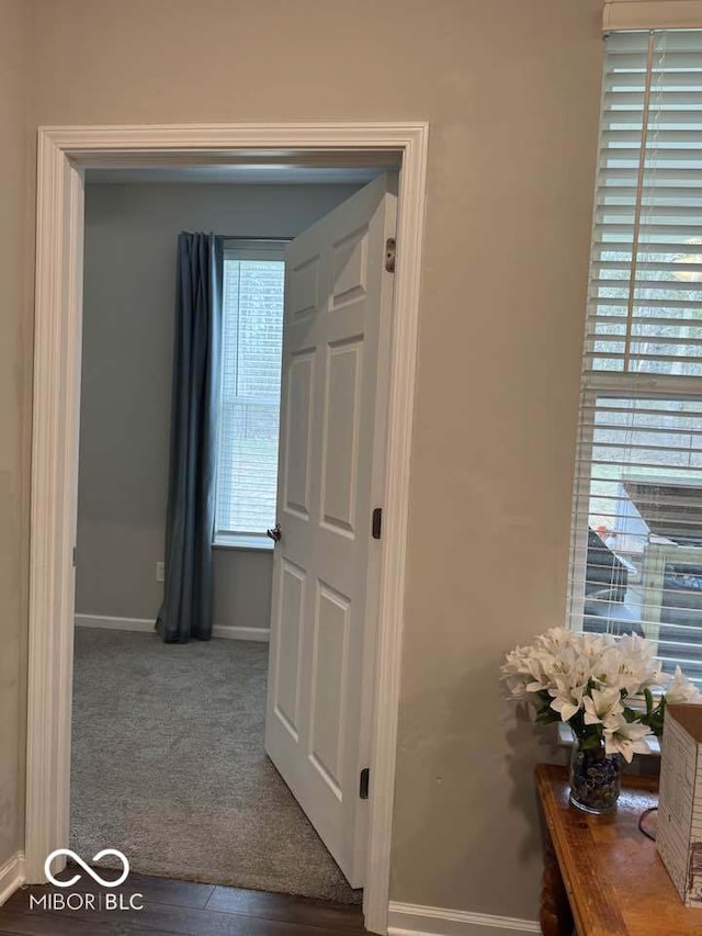 hall with baseboards and carpet flooring