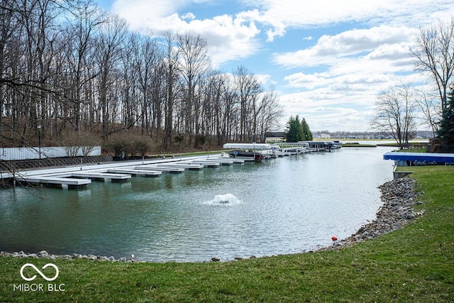 395 Breakwater Dr, Fishers, IN 46037 - view of water feature with a boat dock