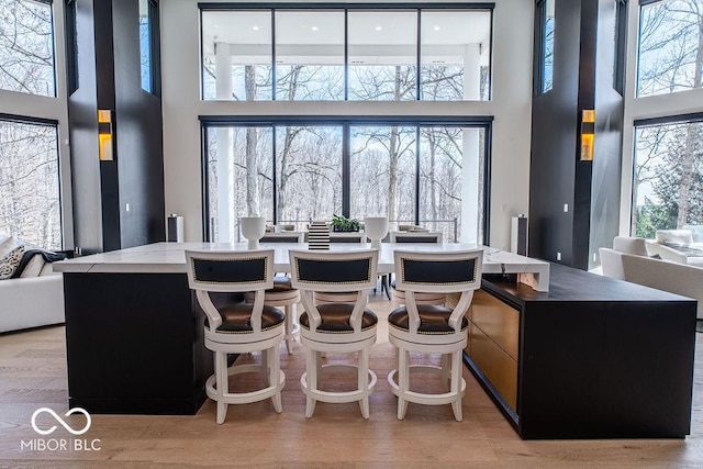 395 Breakwater Dr, Fishers, IN 46037 - dining area featuring light wood finished floors, a towering ceiling, and a healthy amount of sunlight