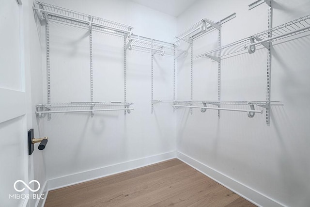 395 Breakwater Dr, Fishers, IN 46037 - walk in closet with wood finished floors