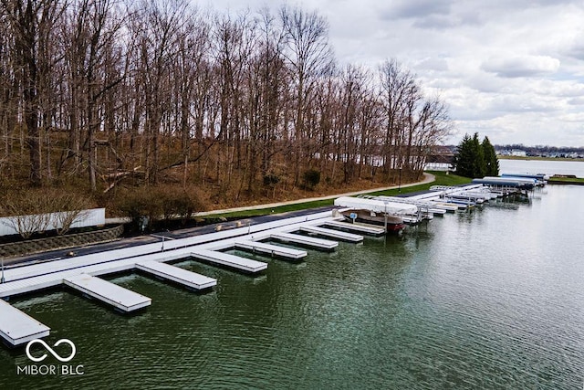 395 Breakwater Dr, Fishers, IN 46037 - dock area with a water view