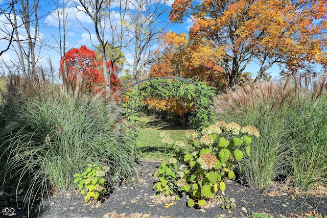 450 W Ash St, Zionsville, IN 46077 - view of yard