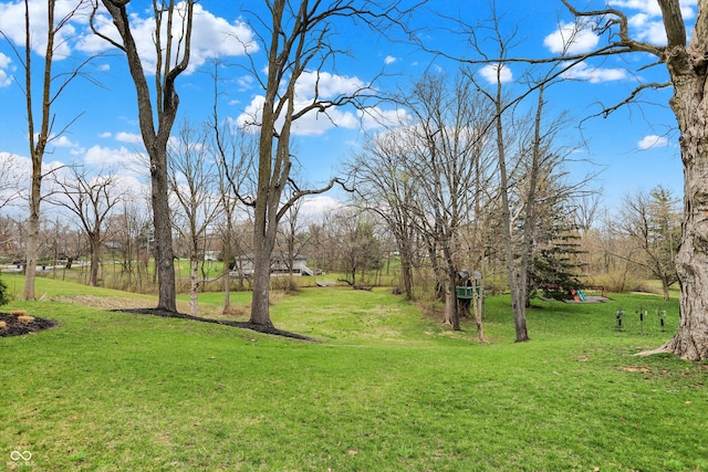 450 W Ash St, Zionsville, IN 46077 - view of yard