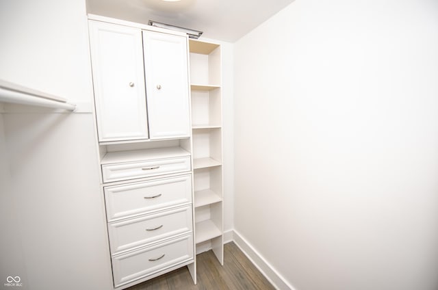 walk in closet featuring wood finished floors