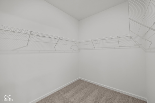 spacious closet with carpet