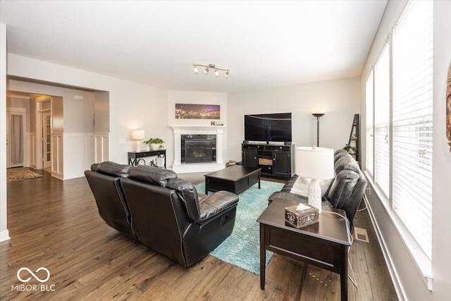 living room featuring wood finished floors and a glass covered fireplace