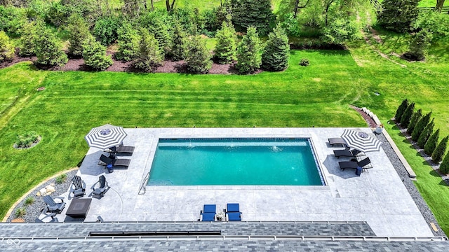 5120 Melbourne Pl, Zionsville, IN 46077 - swimming pool with a patio, an outdoor living space, and a yard