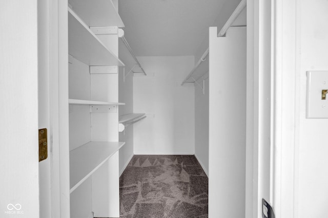 1847 Crystal Bay E Dr, Plainfield, IN 46168 - spacious closet featuring carpet flooring