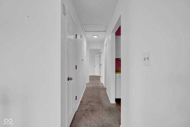 1847 Crystal Bay E Dr, Plainfield, IN 46168 - corridor featuring attic access and carpet flooring